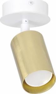 Lampa sufitowa Selsey SELSEY Spot sufitowy Fossano biały ze złotym kloszem 1