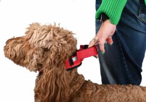 Patento Pet Obroża Dla Psa Treningowa z Uchwytem Krótką Smyczą M 3