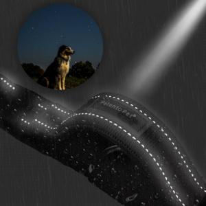 Patento Pet Obroża Dla Psa Treningowa z Uchwytem Krótką Smyczą M 4