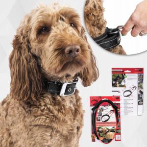 Patento Pet Obroża Dla Psa Treningowa z Uchwytem Krótką Smyczą M 5