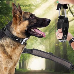 Patento Pet Obroża Dla Psa Treningowa z Uchwytem Krótką Smyczą M 6