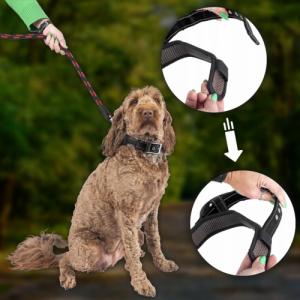 Patento Pet Obroża Dla Psa Treningowa z Uchwytem Krótką Smyczą M 8