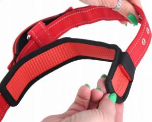 Patento Pet Obroża Dla Psa Treningowa z Uchwytem Z Krótką Smyczą 14