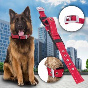 Patento Pet Obroża Dla Psa Treningowa z Uchwytem Z Krótką Smyczą 4