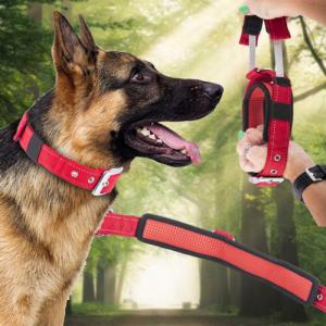 Patento Pet Obroża Dla Psa Treningowa Z Uchwytem Krótką Smyczą 5