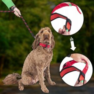 Patento Pet Obroża Dla Psa Treningowa Z Uchwytem Krótką Smyczą 7