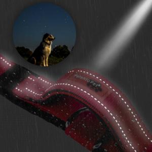 Patento Pet Obroża Dla Psa Treningowa Z Uchwytem Krótką Smyczą 8