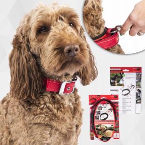 Patento Pet Obroża Dla Psa Treningowa Z Uchwytem Krótką Smyczą 9