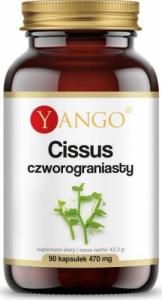 Yango Cissus Czworograniasty ekstrakt 10:1 90 kapsułek Yango 1