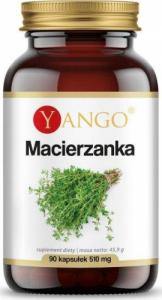 Yango Macierzanka ekstrakt 420 mg 90 kapsułek Yango 1