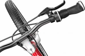 Woom Rower dziecięcy 4 microSHIFT Czerwony 8