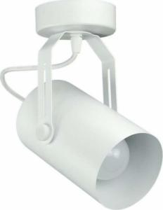 Lampa sufitowa TEAM Sufitowa LAMPA regulowana 137623613202 TEAM metalowa OPRAWA tuba spot reflektorek biały 1
