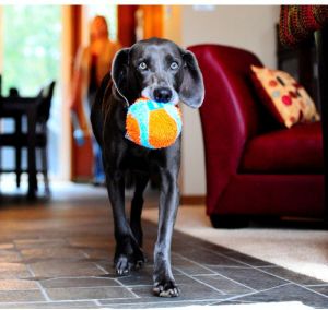 Chuckit! INDOOR BALL (213201) 3