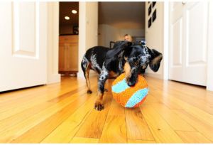 Chuckit! INDOOR BALL (213201) 5