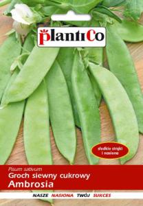 Plantico Groch Siewny Cukrowy Ambrosia 40g 1