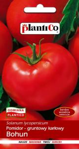 Plantico Pomidor Gruntowy Bohun 1g 1