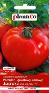 Plantico Pomidor Gruntowy Jutrosz 0,5g PlantiCo 1