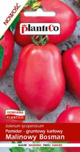 Plantico Pomidor Gruntowy Malinowy Bosman 0,5g PlantiCo 1
