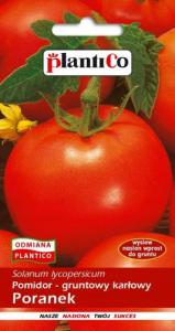 Plantico Pomidor Gruntowy Poranek 1g 1