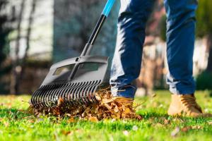 Cellfast Grabie duże do liści Ideal Pro 525mm (40312 3