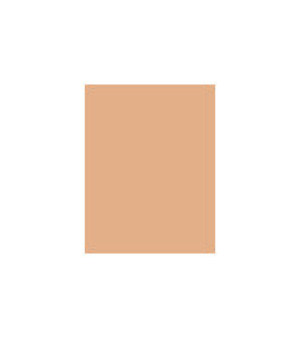 MAX FACTOR Ageless Elixir 2v1 Foundation + Serum SPF15 W 30ml 2