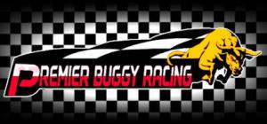 Premier Buggy Racing Tour PC, wersja cyfrowa 1
