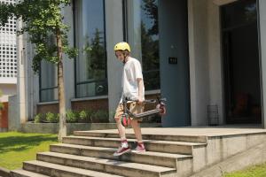 Hulajnoga elektryczna Segway Zing C20 6