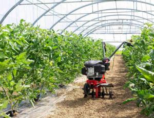 Glebogryzarka AL-KO Glebogryzarka MH 360 AL-KO Spalinowa 113969 4