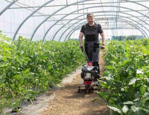 Glebogryzarka AL-KO Glebogryzarka MH 360 AL-KO Spalinowa 113969 7