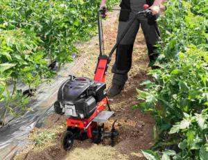 Glebogryzarka AL-KO Glebogryzarka MH 360 AL-KO Spalinowa 113969 8