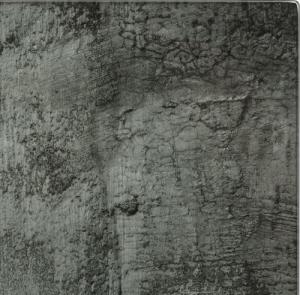 Deska do krojenia vidaXL szklana 2szt. 3