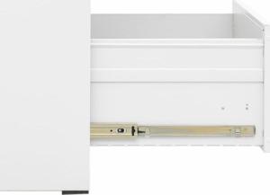 vidaXL Szafka kartotekowa, biała, 46x62x133 cm, stalowa 6