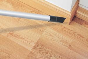 Odkurzacz Hoover Telios Extra TX60PET 011 14