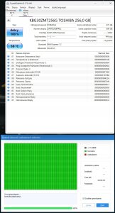 Dysk Lenovo Toshiba BG3 256G M.2 2242 3