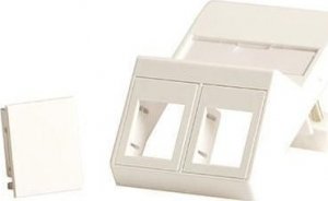 Lanview Wall plate, angled, for 2 x 1