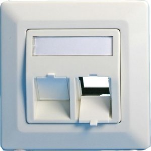 Lanview Wall plate, angled, 2 x 1