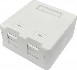 Lanview Surface mount box for 2 x 1