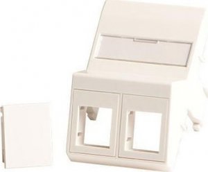 Lanview Wall plate, angled, 2 x 1