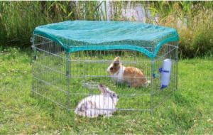 Trixie TRIXIE Ogrodowy kojec dla zwierząt z siatką ochronną 63x60 cm, 6253 2