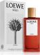 Loewe Solo Cedro EDT 100 ml 2
