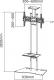 Neomounts Stojak podłogowy PLASMA-M1700ES 32'' - 70'' 3