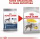 Royal Canin ROYAL CANIN CCN Maxi Dermacomfort 12kg karma sucha dla psów dorosłych, ras dużych, o wrażliwej skórze, skłonnej do podrażnień 2