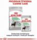 Royal ROYAL PIES sasz. 85g DIGESTIVE CARE 6