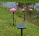 Aptel 3 Solarne lampy ogrodowe LED Flamingi IP65 (ZD50K) 5
