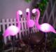 Aptel 3 Solarne lampy ogrodowe LED Flamingi IP65 (ZD50K) 7