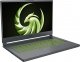 Laptop MSI Delta 15 AMD Advantage Edition A5EFK-078PL Ryzen 9 5900 HX / 1 TB / W11 / RX 6700M / 240 Hz 1