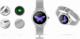 Smartwatch Giewont GW300-4 Srebrny 13