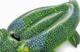 Bestway Krokodyl do pływania Bestway 152 cm zielony 41477 2209 3