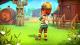 Farm Together - Mistletoe Pack PC, wersja cyfrowa 3