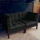vidaXL vidaXL 2-osobowa sofa ogrodowa z antracytowymi poduszkami, sosnowa 1